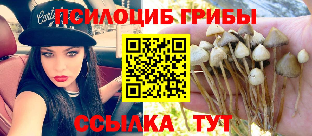 Галлюциногенные грибы MAGIC MUSHROOMS  Вход с VPN  Обнинск 